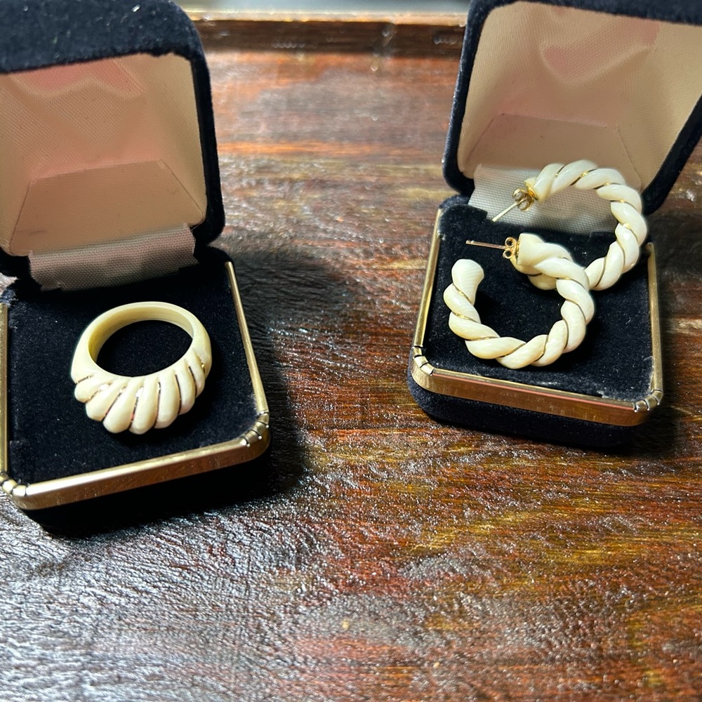 Elegant Ivory Jewelry Set